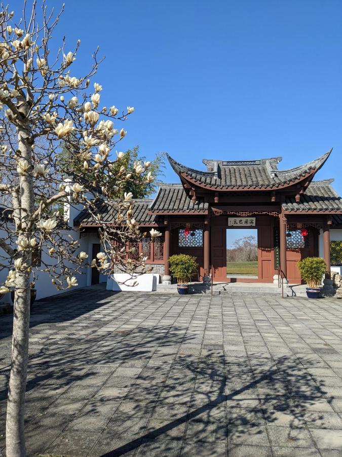 High Point Guesthouse - Next To Seattle Chinese Garden Exterior photo
