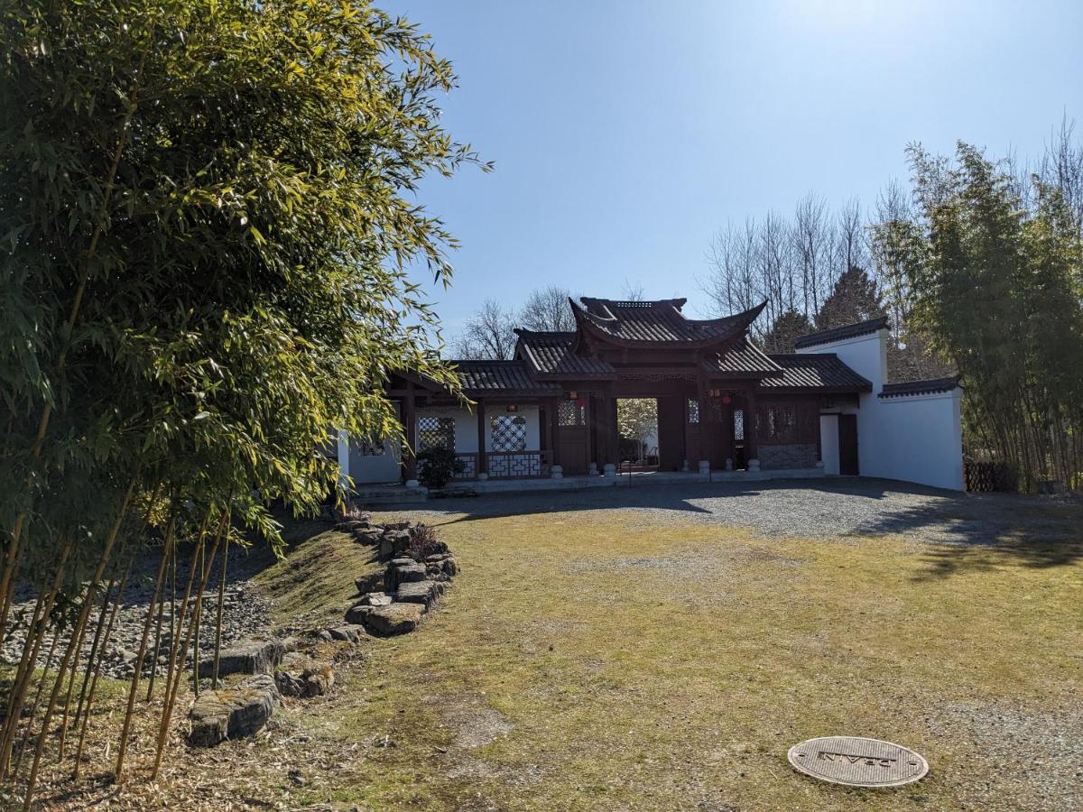 High Point Guesthouse - Next To Seattle Chinese Garden Exterior photo